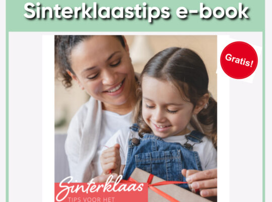 Sinterklaastip e-book